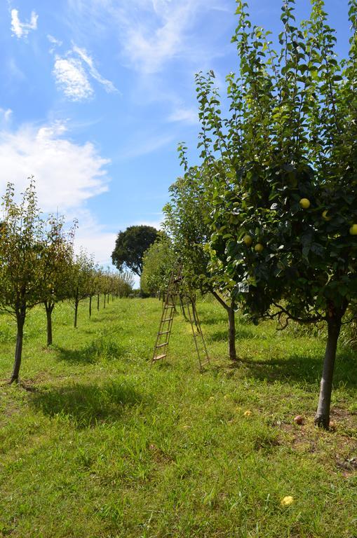 Agriturismo Dondino Farm stay Cavriana